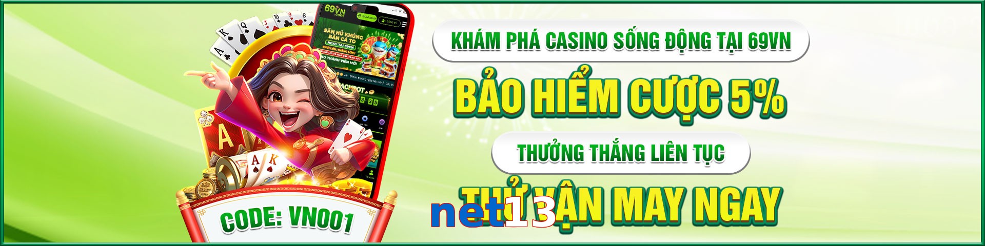 net13